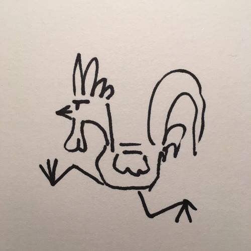 drawing of a rooster