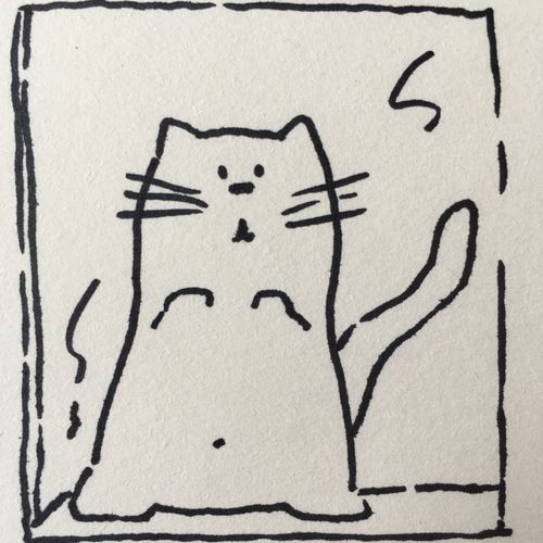 drawing of a cat